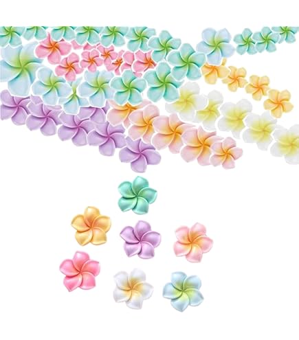 Amazon.com: ALL in ONE Polymer Clay Plumeria Flower Beads Hawaiian
